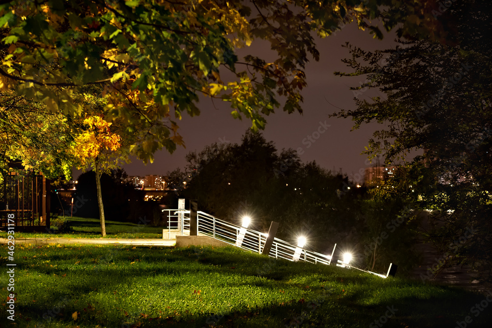 Obraz premium Night autumn park landscape