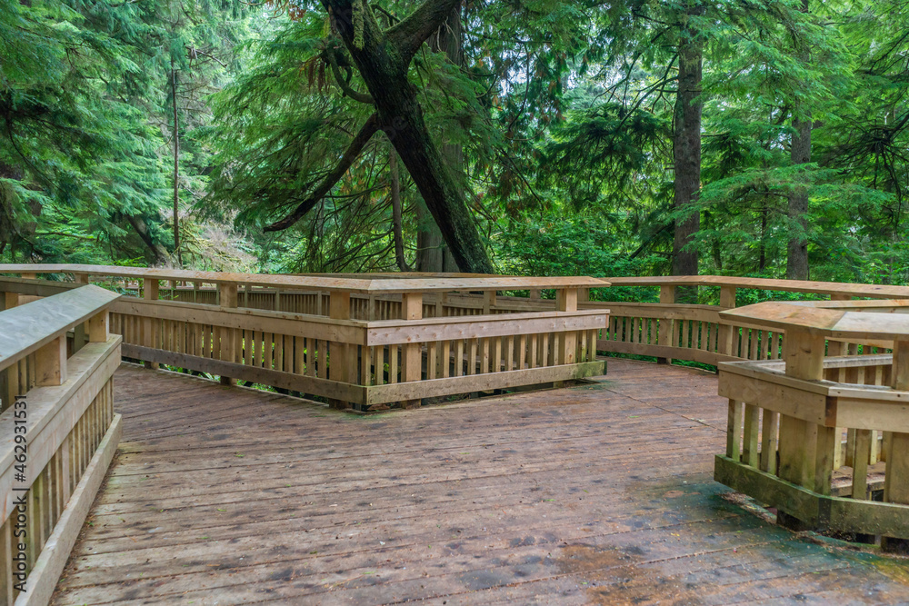 Rockaway Big Tree Boardwalk, Oregon Coast Highway 101 Rockaway Big Tree Boardwalk, Oregon Coast Highway 101