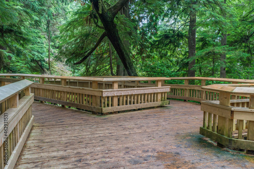 Rockaway Big Tree Boardwalk, Oregon Coast Highway 101