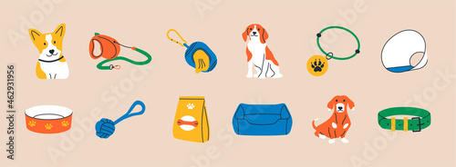 Cartoon dogs and equipment. Cute doodle shiba inu, dachshund and beagle home pets with supplies, toys, bed, bowl, food and leash. Vector set