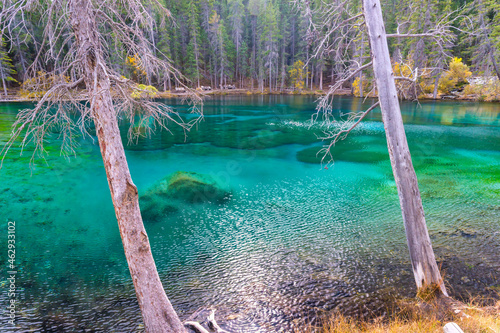 Grassi Lake in the southern Canadian Rockies © mbruxelle