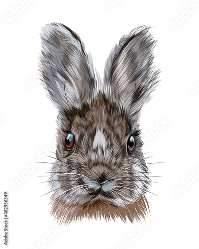 Rabbit head portrait, hare from multicolored paints. Splash of watercolor, colored drawing, realistic. Vector illustration of paints