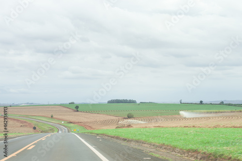 plantation with highway cutting through the scenery, splash of water wetting the planting and sky with rain clouds © Danilo Oliver