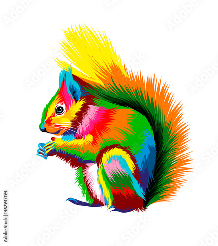 Eurasian red squirrel from multicolored paints. Splash of watercolor, colored drawing, realistic. Vector illustration of paints