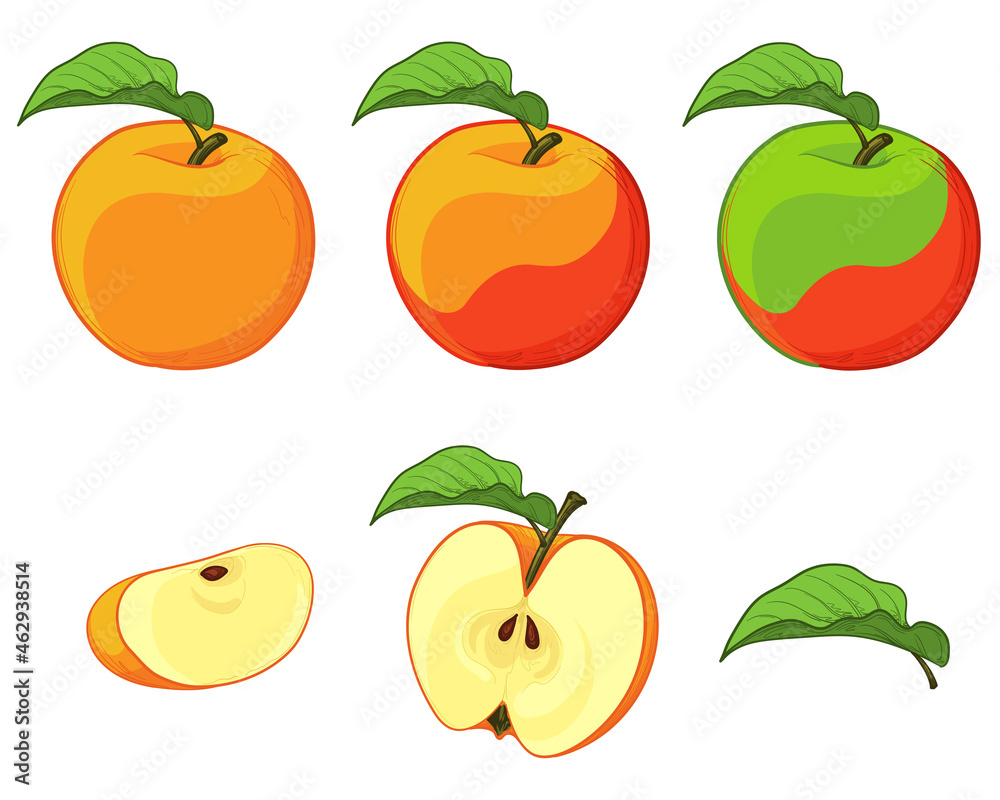 Set of colorful Apples. Leaf, a slice and half an apple. Vector illustration of apples isolated on a white background. Set of colorful Apples. Leaf, a slice and half an apple. Vector illustration of apples isolated on a white background.