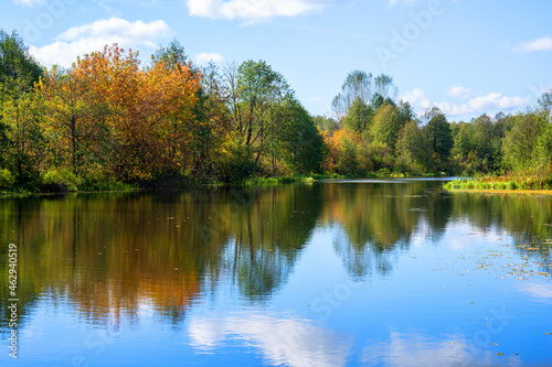 Beautiful bright autumn landscape on the lake