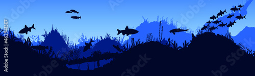 Silhouette of fish and algae on the background of the reefs. Panoramic wallpaper with the underwater world. Underwater landscape. vector