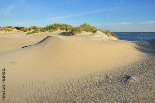 Fototapeta Naklejka Na Ścianę i Meble -  beautiful moving dunes and lake, Leba in Poland