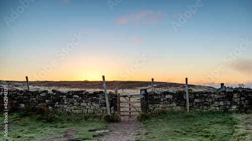 sunrise over the field