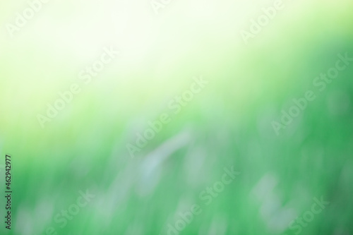 Abstract natural blurred green background. Natural soft colours.