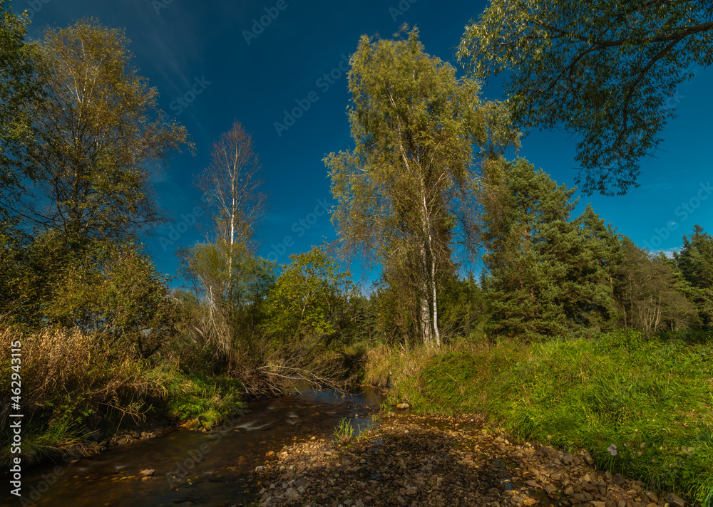 Blanice river with green trees in autumn sunny day