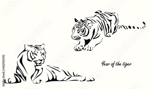 vector drawing of two silhouettes of a Chinese tiger in 2022, a simple hand-drawn Asian element for a poster, postcard, brochure, banner, calendar, vector illustration isolated on a light background