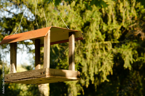 Homemade bird feeder hangs in city park. Feeder made of wood and iron on background of green trees with copy space.