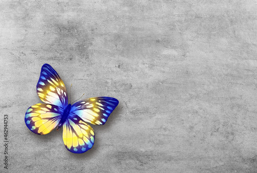 Abstract grunge grey concrete background with colorful butterfly.