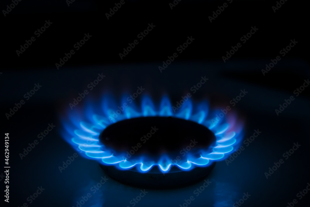 Side view of burning gas stove with blue flame in dark kitchen. Black background. Copy space for your text. Selective focus. Biogas or natural gas. Fuel industry theme. Side view of burning gas stove with blue flame in dark kitchen. Black background. Copy space for your text. Selective focus. Biogas or natural gas. Fuel industry theme.