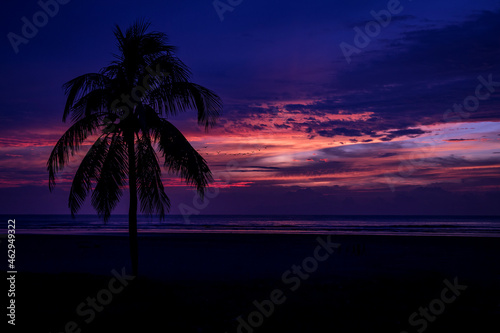 Lilac sky and coconut tree