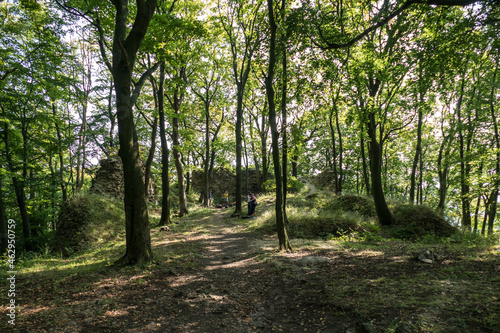 hiking in an amazing czech forest nature