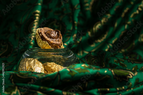 Tasty Chocolate Praline Wrapped with Golden Foil on Gorgeous Green Backdrop