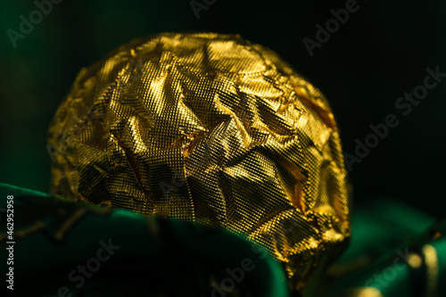 Tasty Chocolate Praline Wrapped with Golden Foil on Gorgeous Green Backdrop