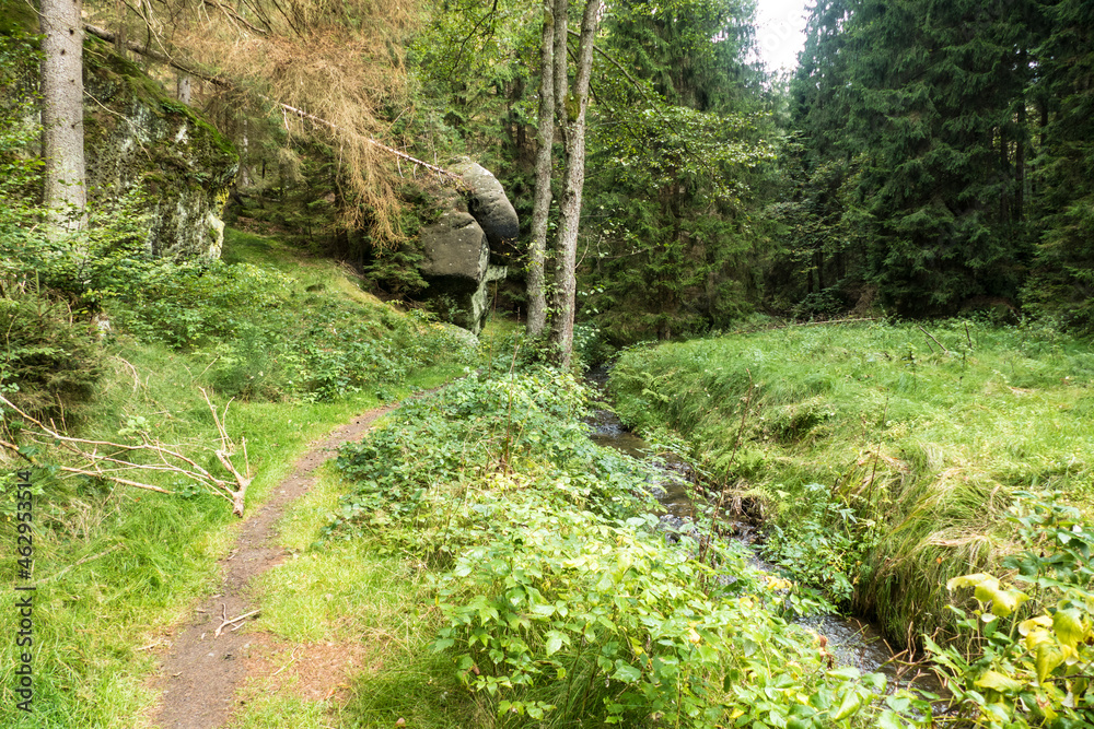hiking in an amazing czech forest nature hiking in an amazing czech forest nature