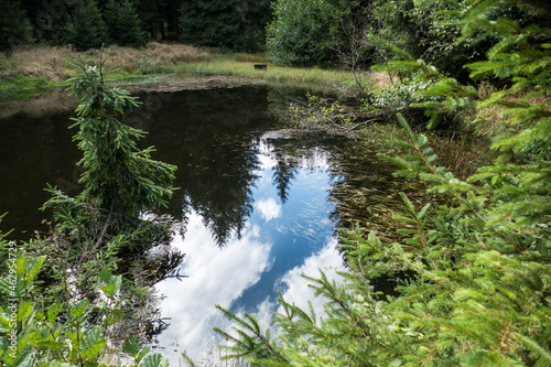 hiking in an amazing czech forest nature