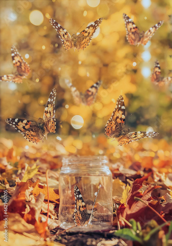 A magical photography, butterflies flying out of a transparent bottle against the backdrop of an autumn yellow landscape
