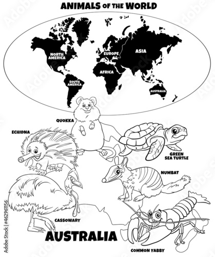 educational illustration with Australian animals color book page