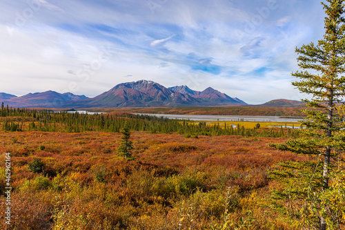 Autumn Colors in the Wilderness of Denali Highway, Alaska