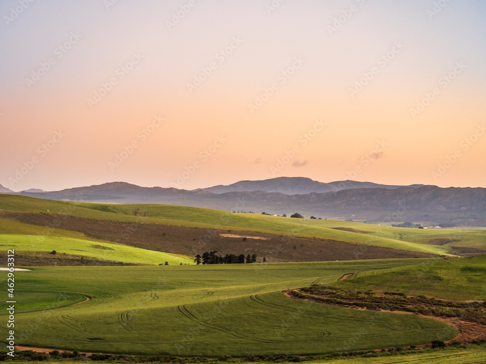 Lush green rolling hills of Caledon during sunset in Western Cape South Africa
