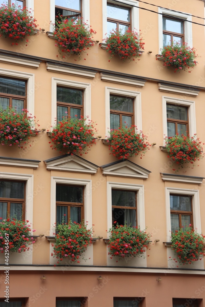 balcony with flowers balcony with flowers
