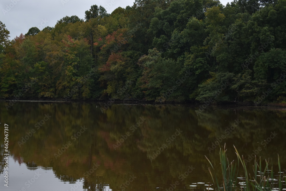 Autumn trees reflecting on the water