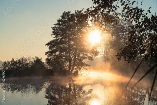 Fototapeta Naklejka Na Ścianę i Meble -  Drzewa nad rzeką, światło we mgle, rzeka Czerniawka, Staw w Białej, gmina Zgierz