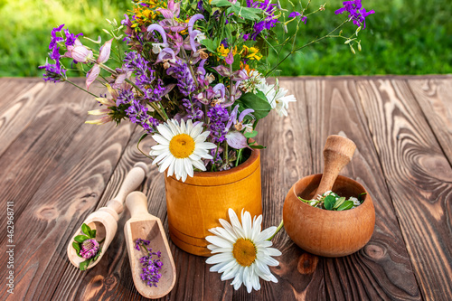 Fresh herbs Calendula officinalis, Consolida regalis, Salvia, Lavandula, Matricaria, Hypericum, Clover in the mortar, healthy food. photo