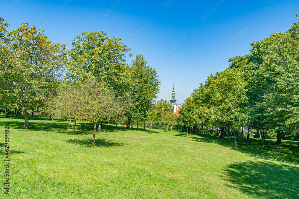 Lush green grass lawn landscaped with foliage rich trees casting shadows on ground with tower in distance.