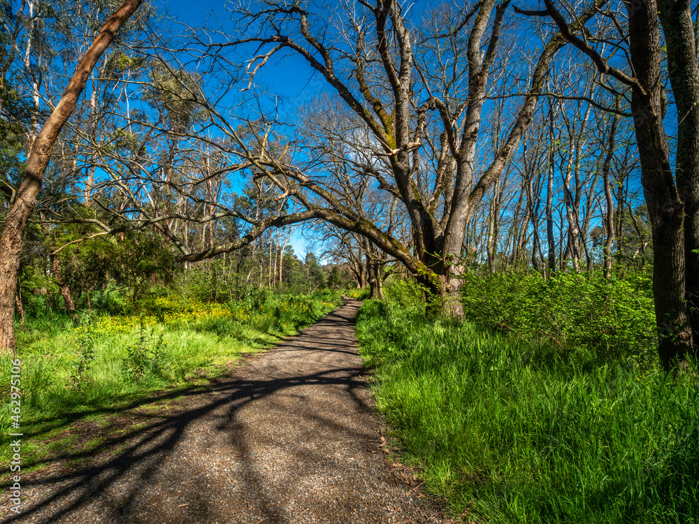 Path Under Elm