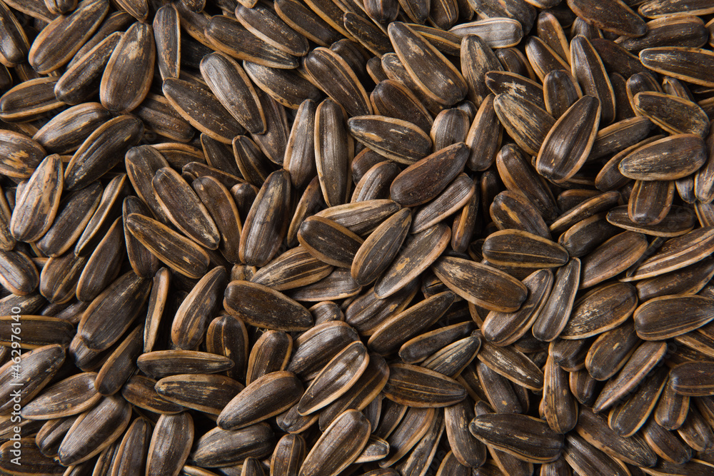 close up of roasted sunflower seeds background. close up of roasted sunflower seeds background.