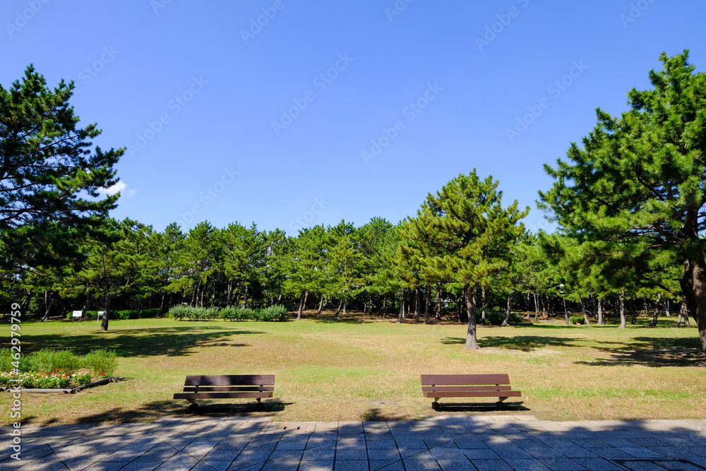 Fototapeta premium 神奈川県横浜市金沢区の海の公園