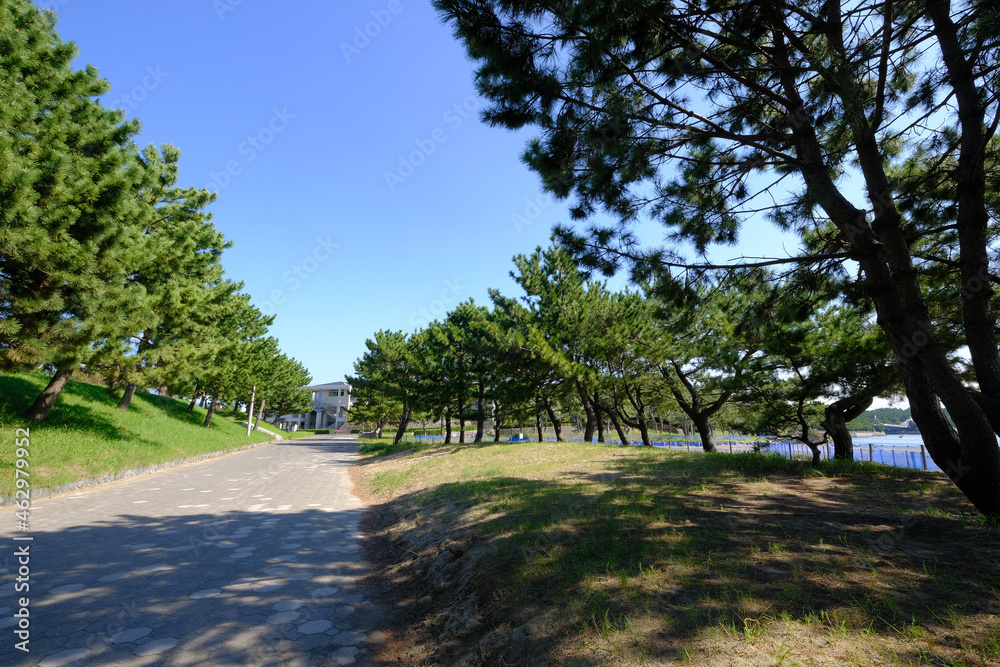 神奈川県横浜市金沢区の海の公園