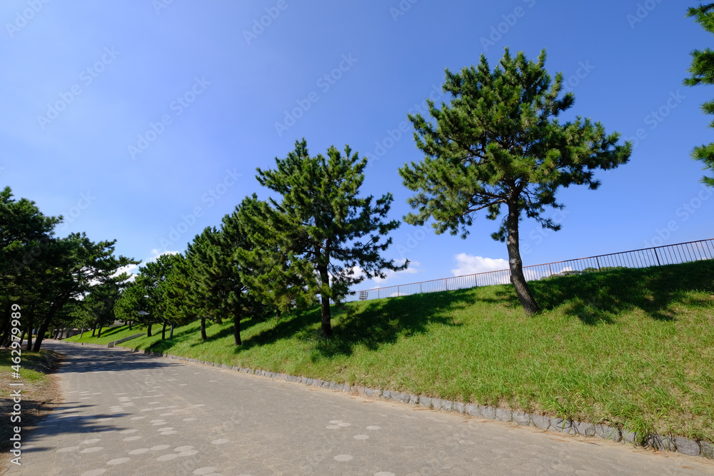 神奈川県横浜市金沢区の海の公園 神奈川県横浜市金沢区の海の公園