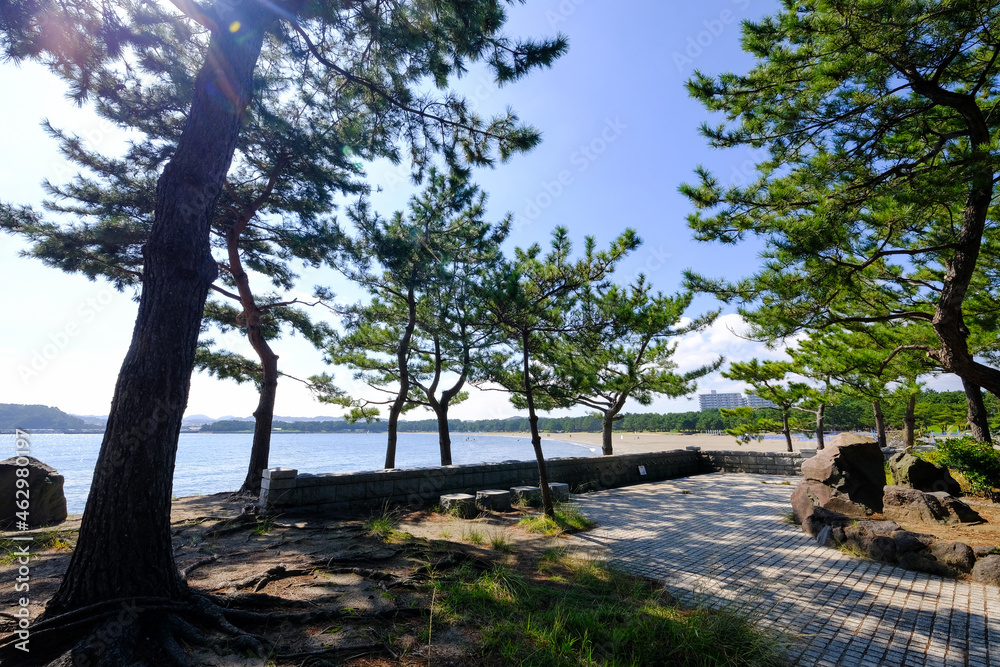 Fototapeta premium 神奈川県横浜市金沢区の海の公園