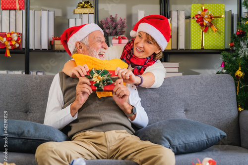 senior couple together celebrate Christmas and new year festival together