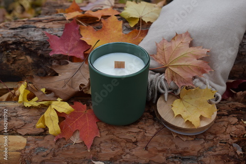 Aura wood wick candle sitting on log with maple leaves and scarf. 
