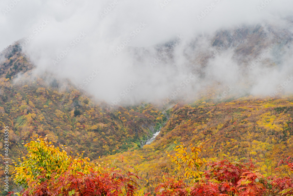 秋の立山黒部アルペンルート　黒部平から眺める紅葉と山