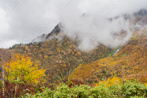 秋の立山黒部アルペンルート 黒部平から眺める紅葉と山