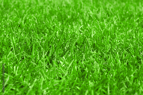 Closeup of trimmed soccer field
