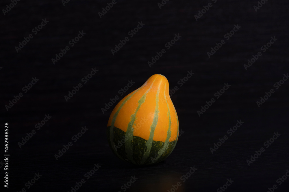 MINI PUMPKINS DECORATION WITH DARK BACKGROUND FOR HALLOWEEN, THANKSGIVING, CHRISTMAS, AUTUMN, AS A PRINT, WALLPAPER, BOOK COVER, BROCHURES OR ADVERTISING