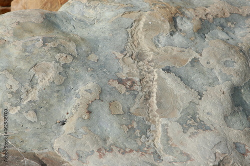 stone texture 