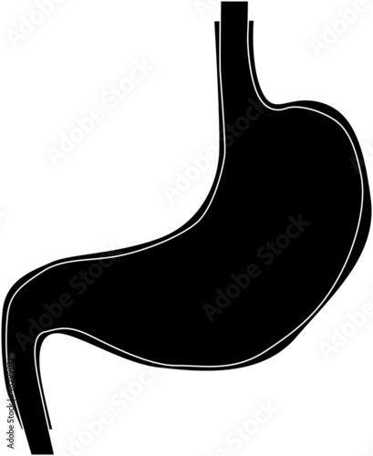 シンプルな胃のシルエット