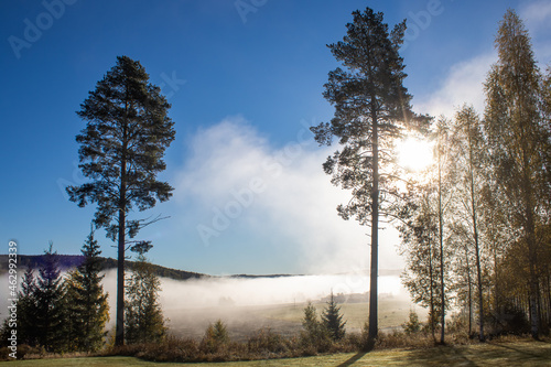 Autumn morning fog above agricultural fields in Järvsö, Hälsingland, Sweden photo