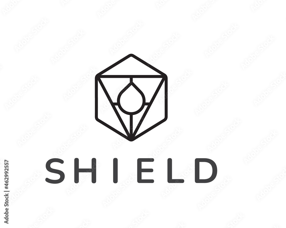 Fototapeta premium shield logo dice logo water logo vector line art